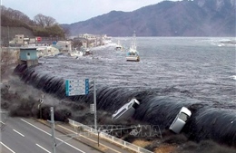 Tròn 13 năm xảy ra thảm họa động đất và sóng thần tại Nhật Bản