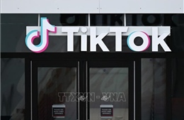 Công ty mẹ của TikTok ghi nhận lợi nhuận tăng vọt