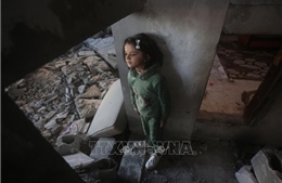 Cơ quan LHQ quan ngại về số trẻ em thiệt mạng ở Dải Gaza
