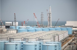 Nhật Bản hoàn thành năm đầu tiên của kế hoạch xả nước thải từ nhà máy điện hạt nhân Fukushima