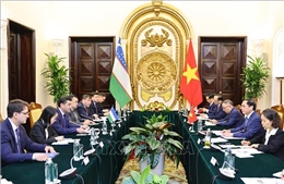 Tạo xung lực mới cho tăng cường hợp tác Việt Nam - Uzbekistan