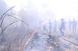 Kịp thời dập tắt đám cháy vườn tràm ở Phú Quốc