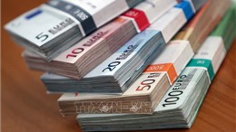Châu Âu đặt giới hạn thanh toán bằng tiền mặt nhằm chống rửa tiền