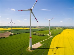 Năng lượng gió - nguồn cung cấp điện chính của nền kinh tế số một châu Âu