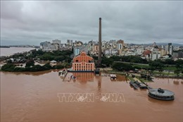 Số người thiệt mạng do mưa lũ ở Brazil tiếp tục tăng cao