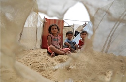 Xung đột Hamas - Israel: Liêp hợp quốc hối thúc lập tức ngừng bắn để viện trợ nhân đạo