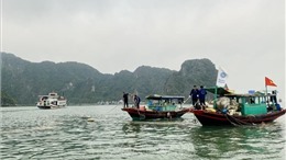 Việt Nam - EU chung tay vì môi trường sạch, ứng phó với biến đổi khí hậu