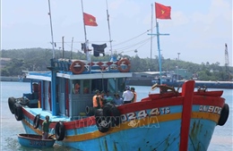 Đội tàu xa bờ hùng mạnh nhất tỉnh Quảng Nam quyết tâm gỡ bỏ &#39;thẻ vàng&#39; IUU