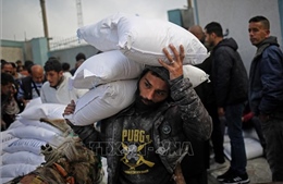Xung đột Hamas - Israel: Chuyến hàng viện trợ của Anh rời Cyprus đến Gaza