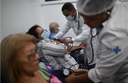 Brazil ghi nhận số ca mắc sốt xuất huyết cao kỷ lục trên 5 triệu ca