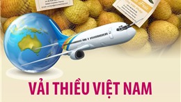 Vải thiều Việt Nam lên kệ siêu thị tại Pháp