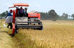 Long An sẽ hình thành vùng chuyên canh lúa chất lượng cao 125.000 ha