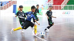 Tây Ninh: Khởi tranh giải bóng đá Nhi đồng U11