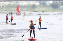 Sôi động Giải Bơi vượt sông và Giải Vô địch Ván chèo đứng TP Hồ Chí Minh