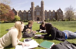 Các trường đại học tại Anh đối mặt với thiếu nguồn thu từ sinh viên nước ngoài