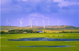 Đầu tư vào năng lượng tái tạo ở Australia ngày càng tăng 