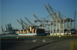 Mỹ nối lại hoạt động vận tải biển qua cảng Baltimore sau vụ sập cầu