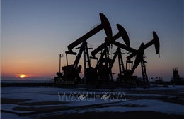 Giá dầu ghi nhận tuần tăng thứ ba liên tiếp