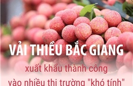 Bắc Giang xuất khẩu vải thiều thành công vào nhiều thị trường &#39;khó tính&#39;