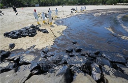 Xử lý vết dầu loang tại đảo Sentosa sẽ mất 3 tháng