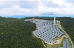 Phát triển năng lượng tái tạo - mục tiêu quan trọng của Nhật Bản