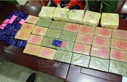 Triệt phá đường dây ma túy lớn, thu 27 bánh heroin