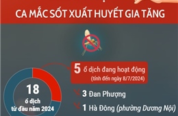 Ca mắc sốt xuất huyết gia tăng tại Hà Nội