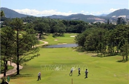 Hủy bỏ văn bản đưa Sân golf Đồi Cù vào rừng phòng hộ ở Đà Lạt (Lâm Đồng)