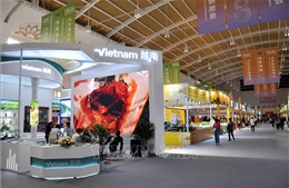 60 doanh nghiệp Việt Nam tham dự Hội chợ triển lãm Trung Quốc - Nam Á