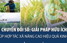 Chuyển đổi số: Giải pháp hữu ích giúp hợp tác xã nâng cao hiệu quả kinh tế