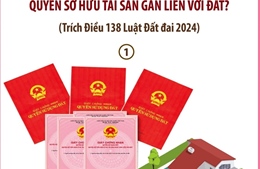 Từ 1/8/2024: Những loại đất không có giấy tờ nào được cấp Giấy chứng nhận quyền sử dụng đất, quyền sở hữu tài sản gắn liền với đất?