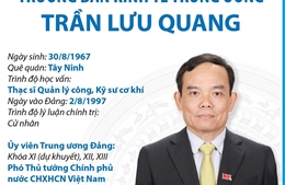 Trưởng Ban Kinh tế Trung ương Trần Lưu Quang