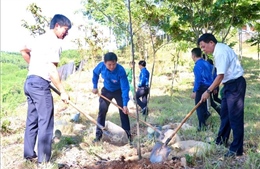 Phát động trồng cây, tạo cảnh quan đẹp tại các &#39;địa chỉ đỏ&#39;