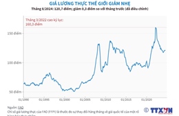 Chỉ số giá lương thực thế giới giảm nhẹ trong tháng 8