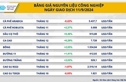 Lực mua mạnh quay lại thị trường kéo chỉ số MXV-Index phục hồi