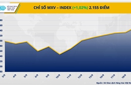 MXV-Index nối dài chuỗi tăng sang phiên thứ 7