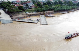Tạm đóng cầu phao Phong Châu do nước sông Hồng lên cao