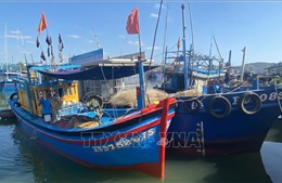 Thí điểm nhật ký khai thác điện tử có thu phí cho 1.000 tàu cá