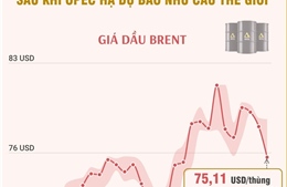 Giá dầu thế giới tiếp tục giảm sau khi OPEC hạ dự báo nhu cầu thế giới