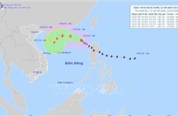 Thời tiết đêm 12/11: Bão số 8 gây gió mạnh, sóng lớn trên vùng biển Bắc Biển Đông