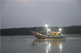 Ngư dân thận trọng, tránh va chạm tàu, thuyền khi di chuyển trong điều kiện sương mù dày đặc