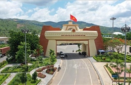 Việt Nam và Lào hướng tới quan hệ thương mại lâu dài và bền vững