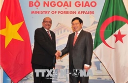 Việt Nam, Algeria tăng cường quan hệ hợp tác trên nhiều lĩnh vực