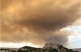 Cháy rừng gần thủ đô Ahthens (Hy Lạp)