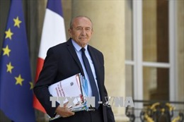 Pháp trần tình vụ trợ lý an ninh Tổng thống hành hung người biểu tình