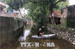 Hà Nam: Khắc phục hậu quả mưa lũ, kịp thời xử lý các sự cố đê điều