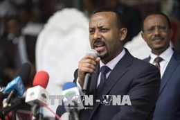 Ethiopia: Nhóm nổi dậy quyết định trở về nước