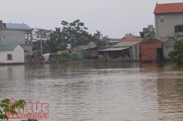 Hà Nội: Sông Bùi, sông Tích mực nước vẫn trên mức báo động III