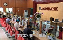 Cổ phần hoá Agribank: Chậm để tiến xa