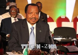Cameroon chốt danh sách 9 ứng viên tham gia bầu cử tổng thống